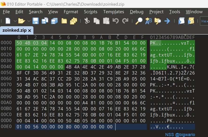 [BCACTF 2022]Zoinked Zip 1 bigwario的WriteUp - NSSCTF